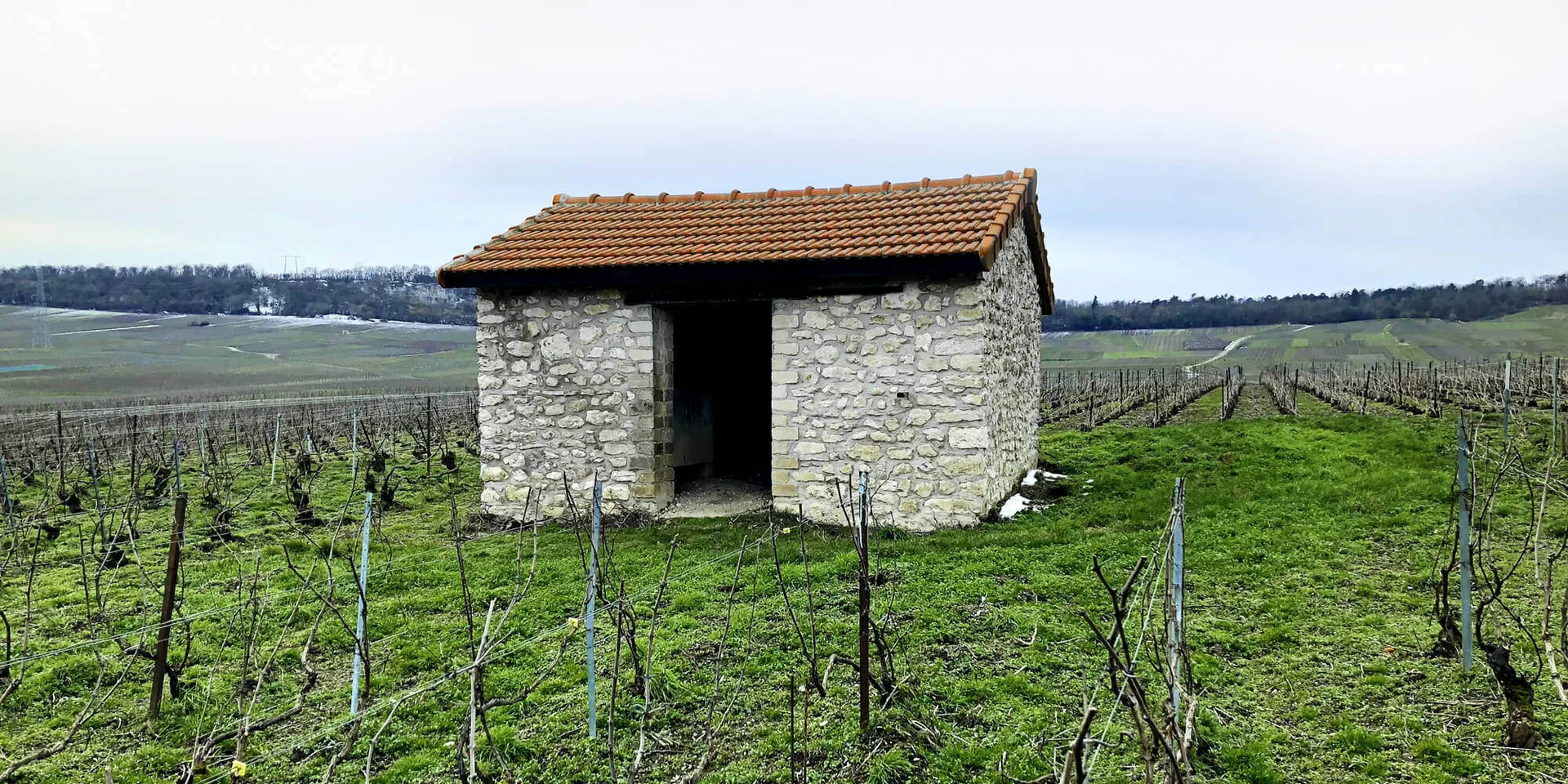 Marque champagne Rutat