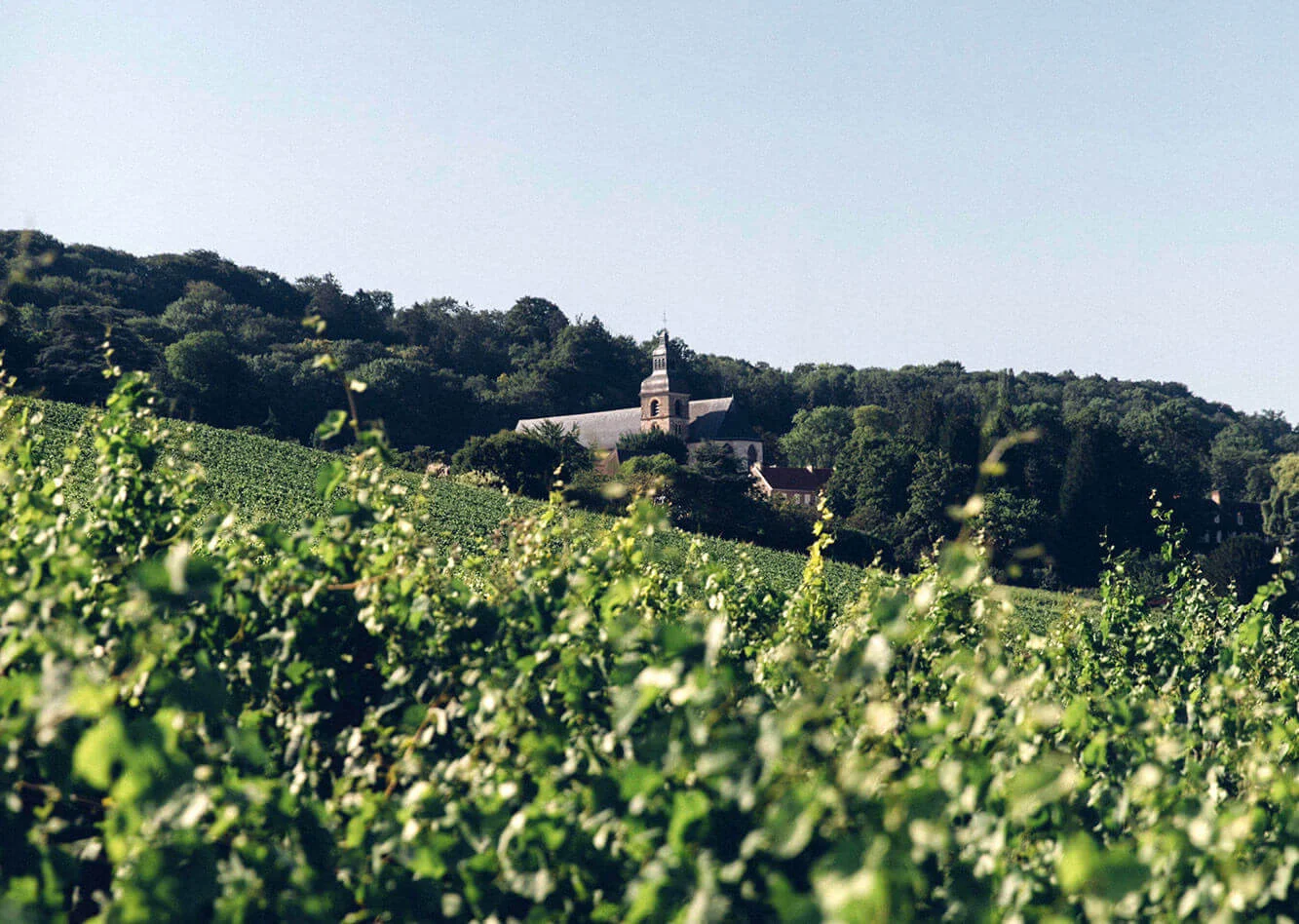 Marque champagneLeclerc Briant
