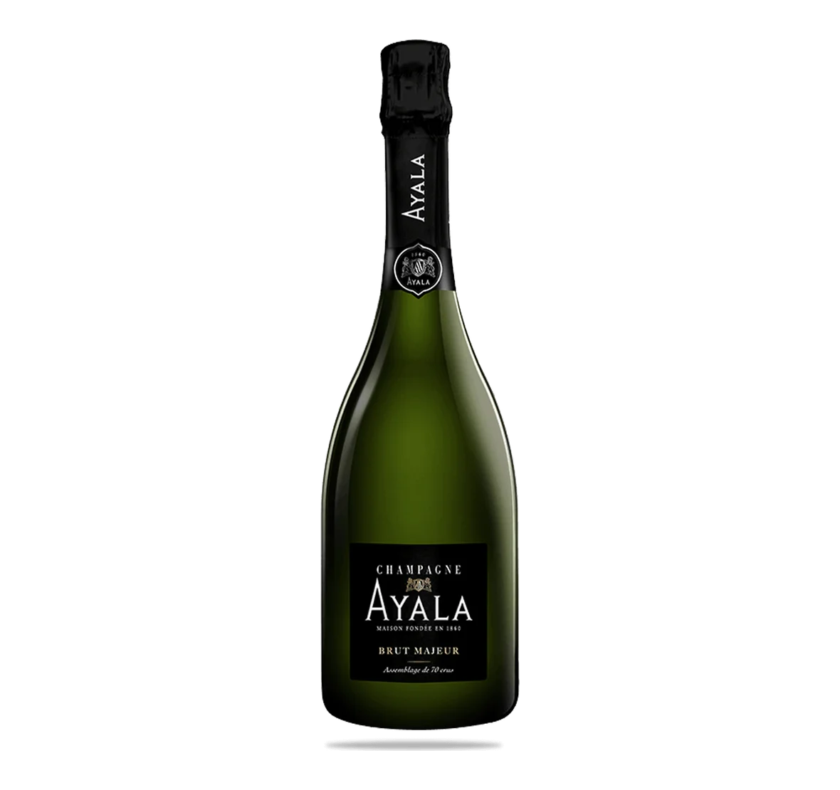 Brut Majeur (sans étui)