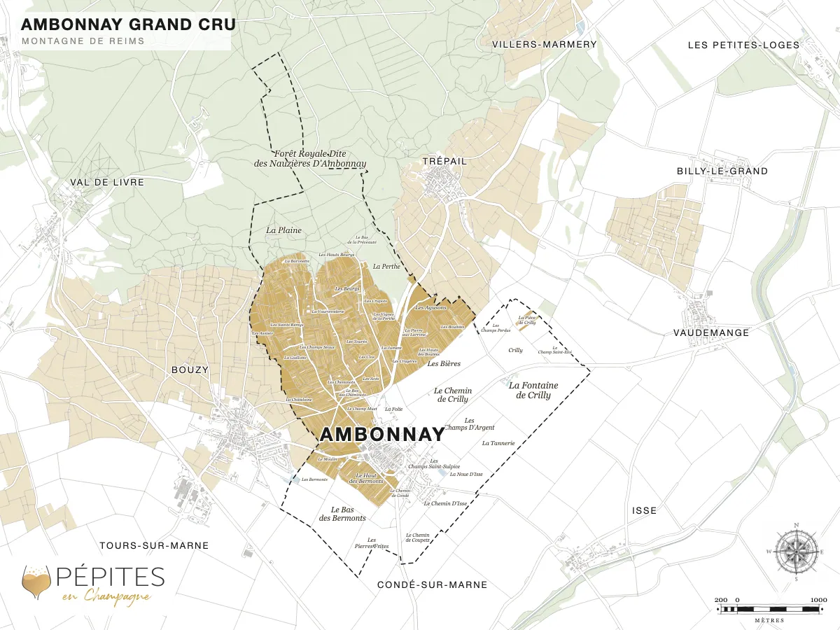 Carte parcellaire de Ambonnay, grand cru de la Montagne de Reims : parcelles classées en AOC Champagne en doré et noms des lieux-dits