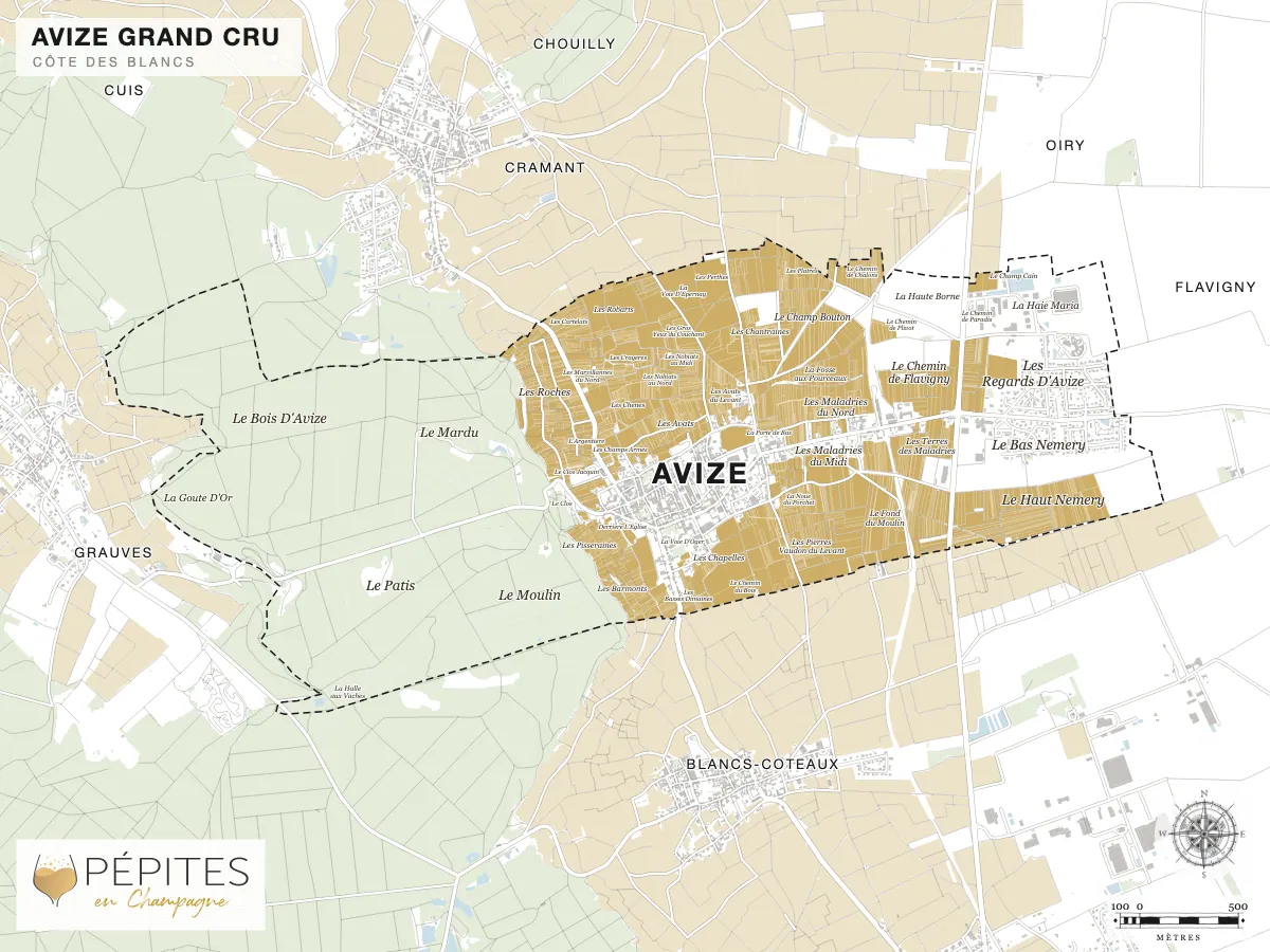 Carte parcellaire de Avize, grand cru de la Côte des Blancs : parcelles classées en AOC Champagne en doré et noms des lieux-dits