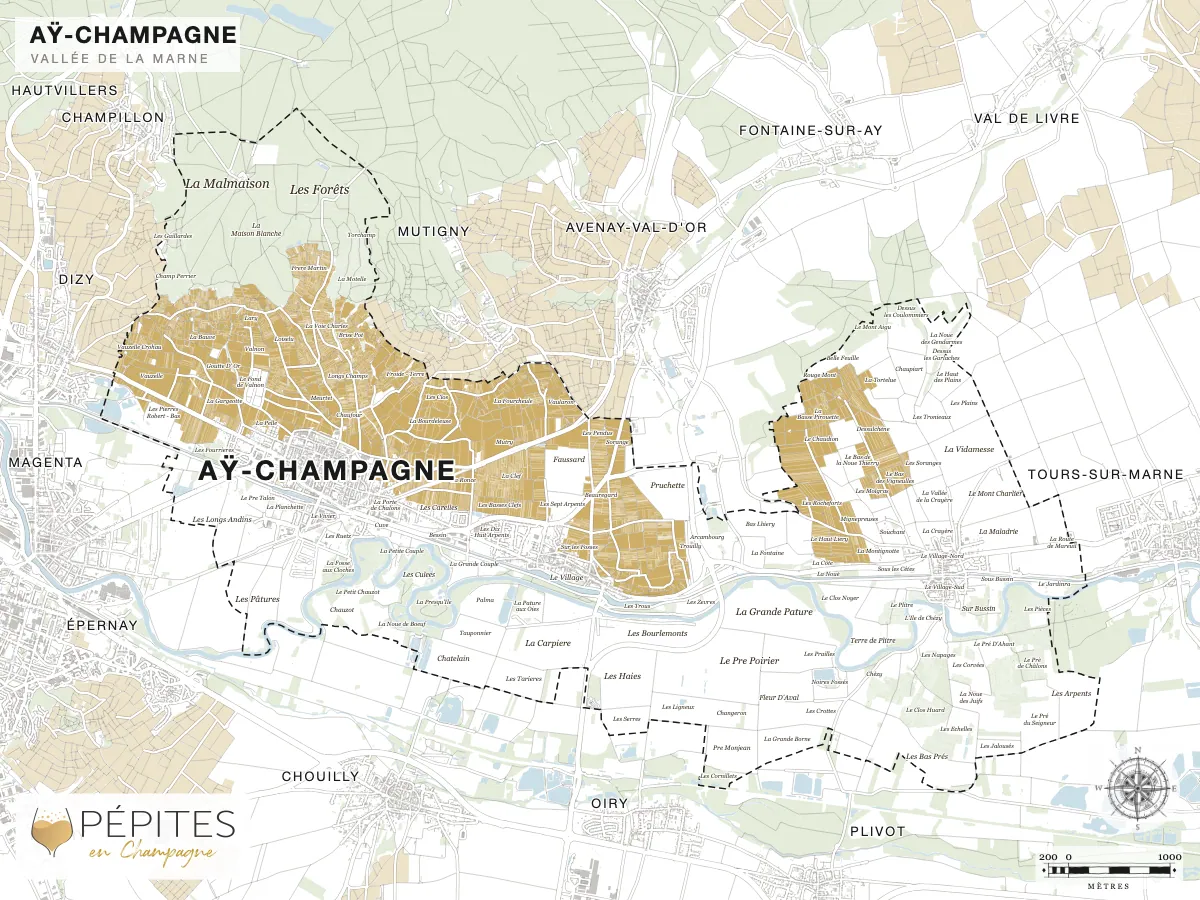 Carte parcellaire de Aÿ, grand cru de la Vallée de la Marne : parcelles classées en AOC Champagne en doré et noms des lieux-dits