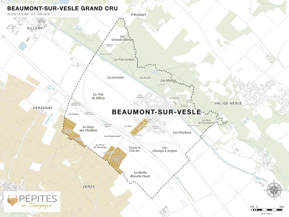 Carte parcellaire de Beaumont-sur-Vesle, grand cru de la Montagne de Reims : parcelles classées en AOC Champagne en doré et noms des lieux-dits