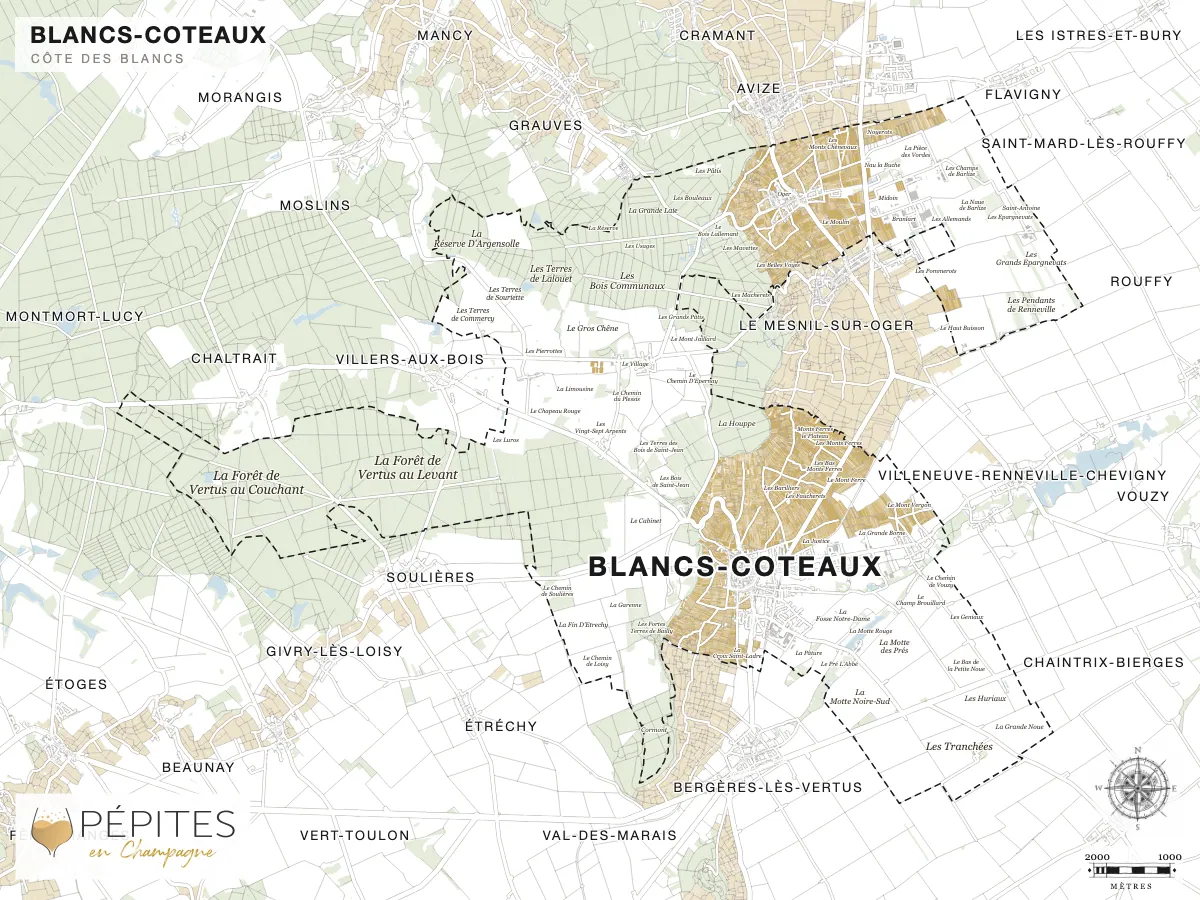 Carte parcellaire de Oger, grand cru de la Côte des Blancs : parcelles classées en AOC Champagne en doré et noms des lieux-dits