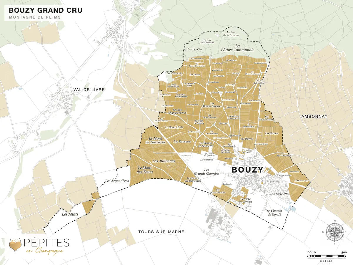 Carte parcellaire de Bouzy, grand cru de la Montagne de Reims : parcelles classées en AOC Champagne en doré et noms des lieux-dits
