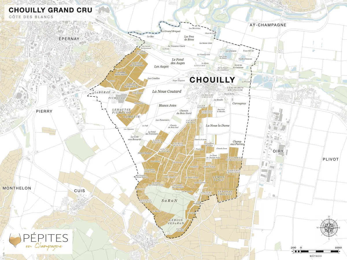 Carte parcellaire de Chouilly, grand cru de la Côte des Blancs : parcelles classées en AOC Champagne en doré et noms des lieux-dits
