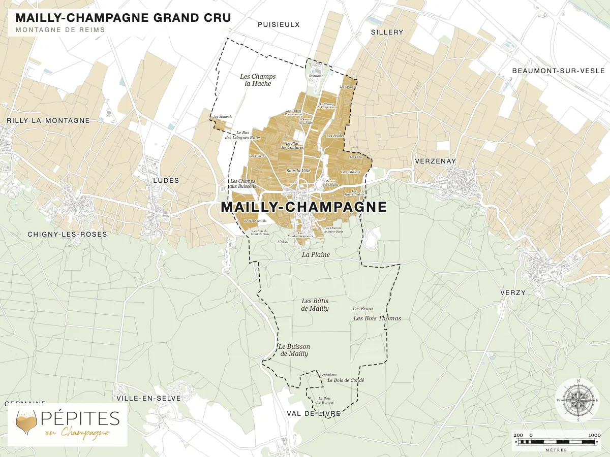 Carte parcellaire de Mailly-Champagne, grand cru de la Montagne de Reims : parcelles classées en AOC Champagne en doré et noms des lieux-dits