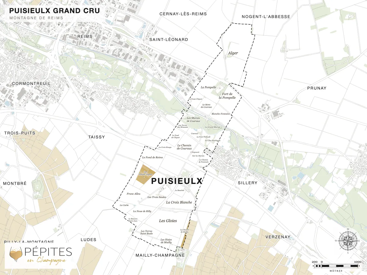 Carte parcellaire de Puisieulx, grand cru de la Montagne de Reims : parcelles classées en AOC Champagne en doré et noms des lieux-dits