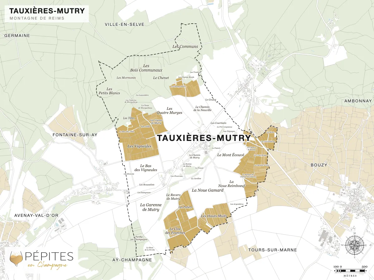 Carte parcellaire de Louvois, grand cru de la Montagne de Reims : parcelles classées en AOC Champagne en doré et noms des lieux-dits