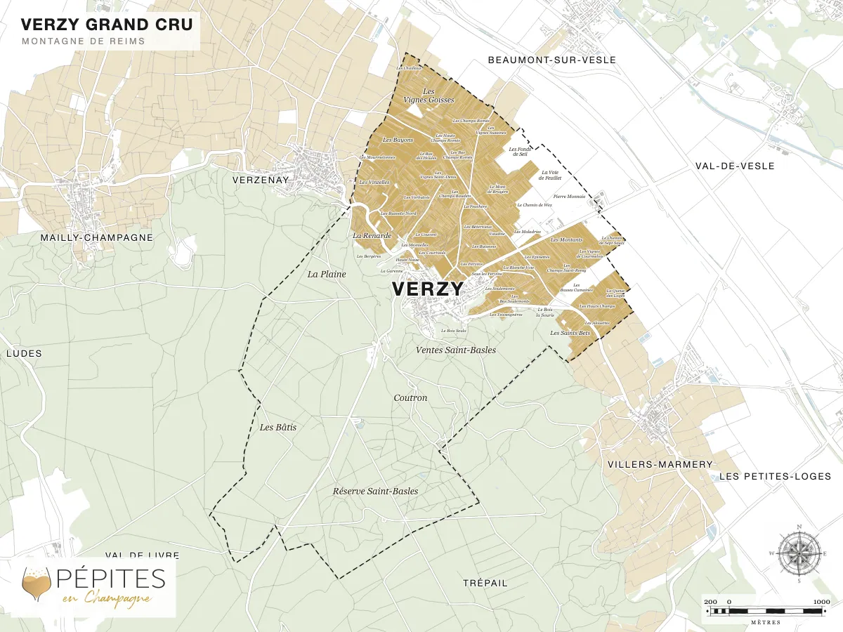 Carte parcellaire de Verzy, grand cru de la Montagne de Reims : parcelles classées en AOC Champagne en doré et noms des lieux-dits
