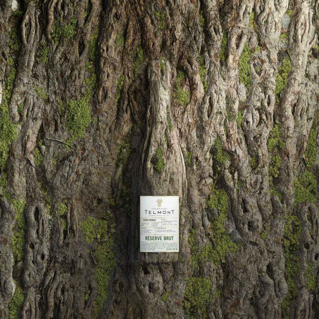 Champagne de Telmont